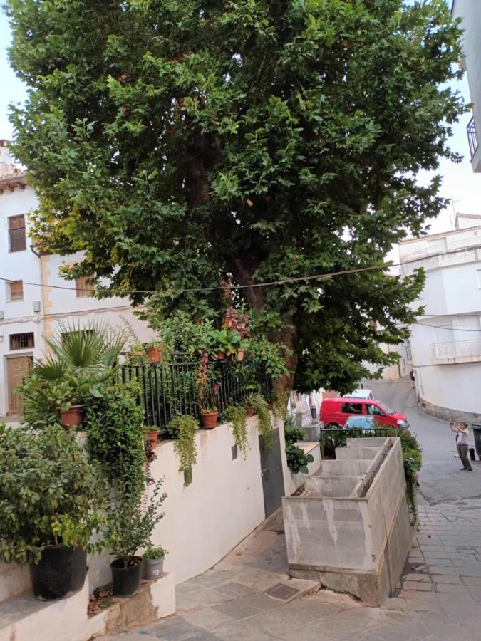 Apartamento El Pilar Guejar Sierra Exteriér fotografie